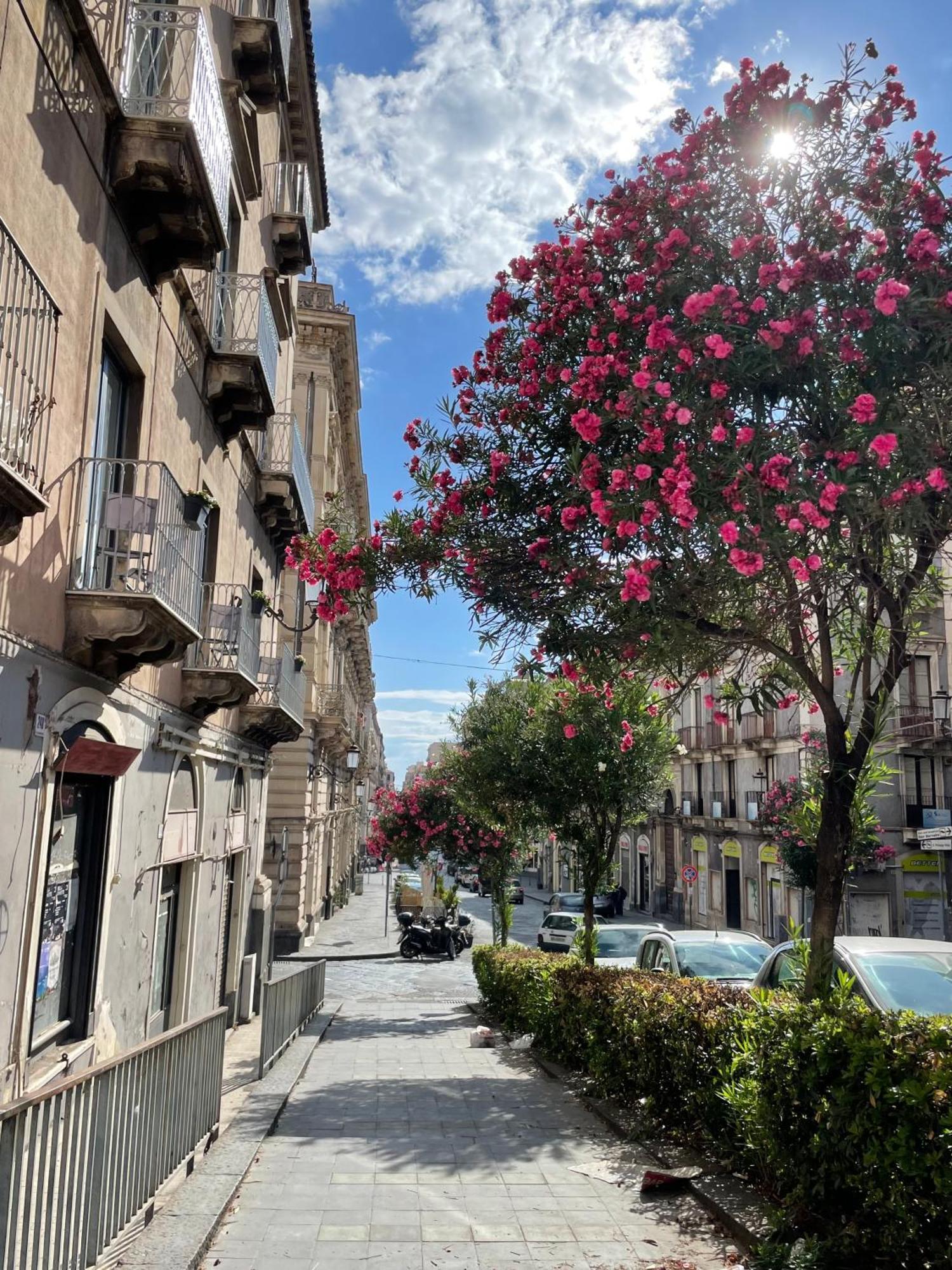 Opera Boutique Panzió Catania-Fontanarossai nemzetközi repülőtér Kültér fotó